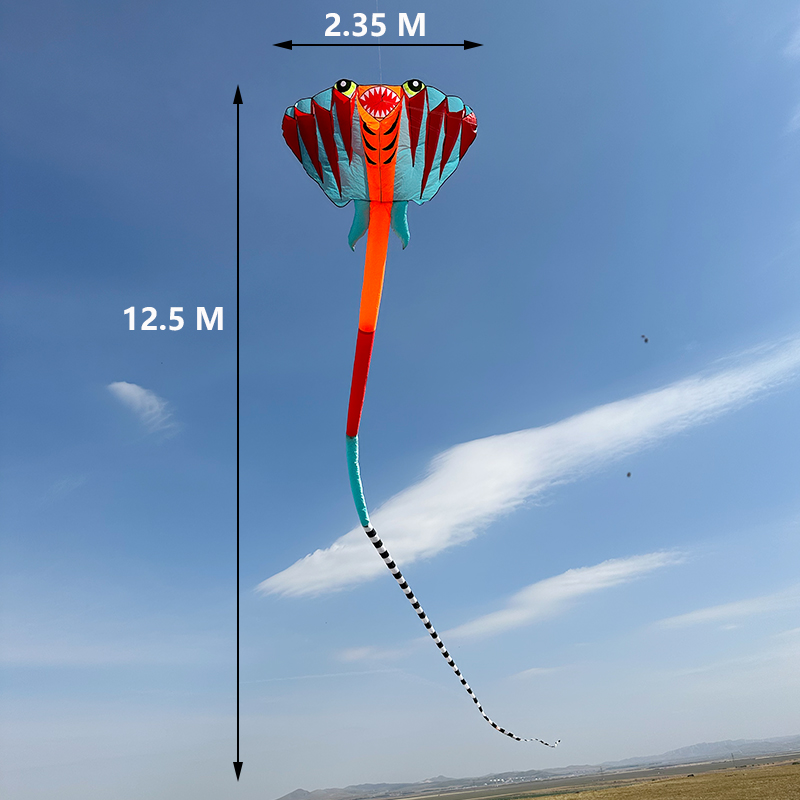 3D 12.5M 2-color Ray Soft Kite - огляд і ціна Outdoor Power Reel